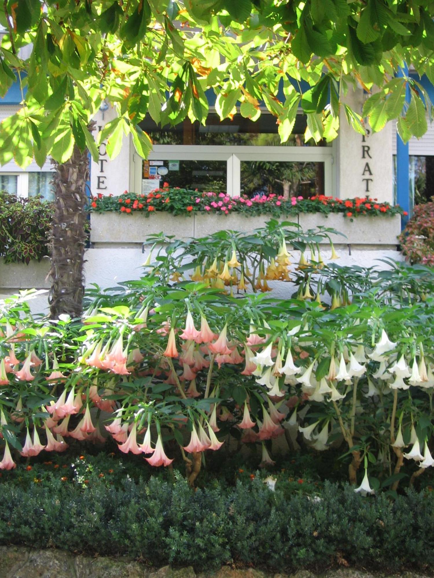 Hotel Prati Castrocaro Terme e Terra del Sole Exterior foto